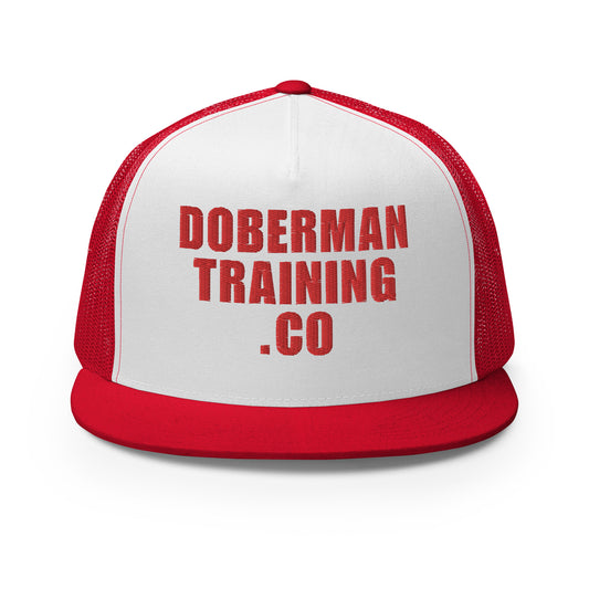 DTC 2 Trucker Cap