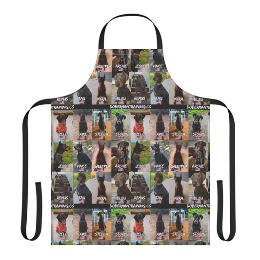 Fam 1 Sit Apron