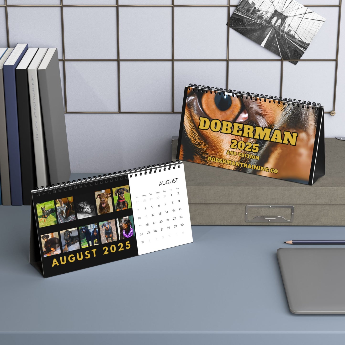 DTT 2nd Edition Desktop Calendar (2025 grid)