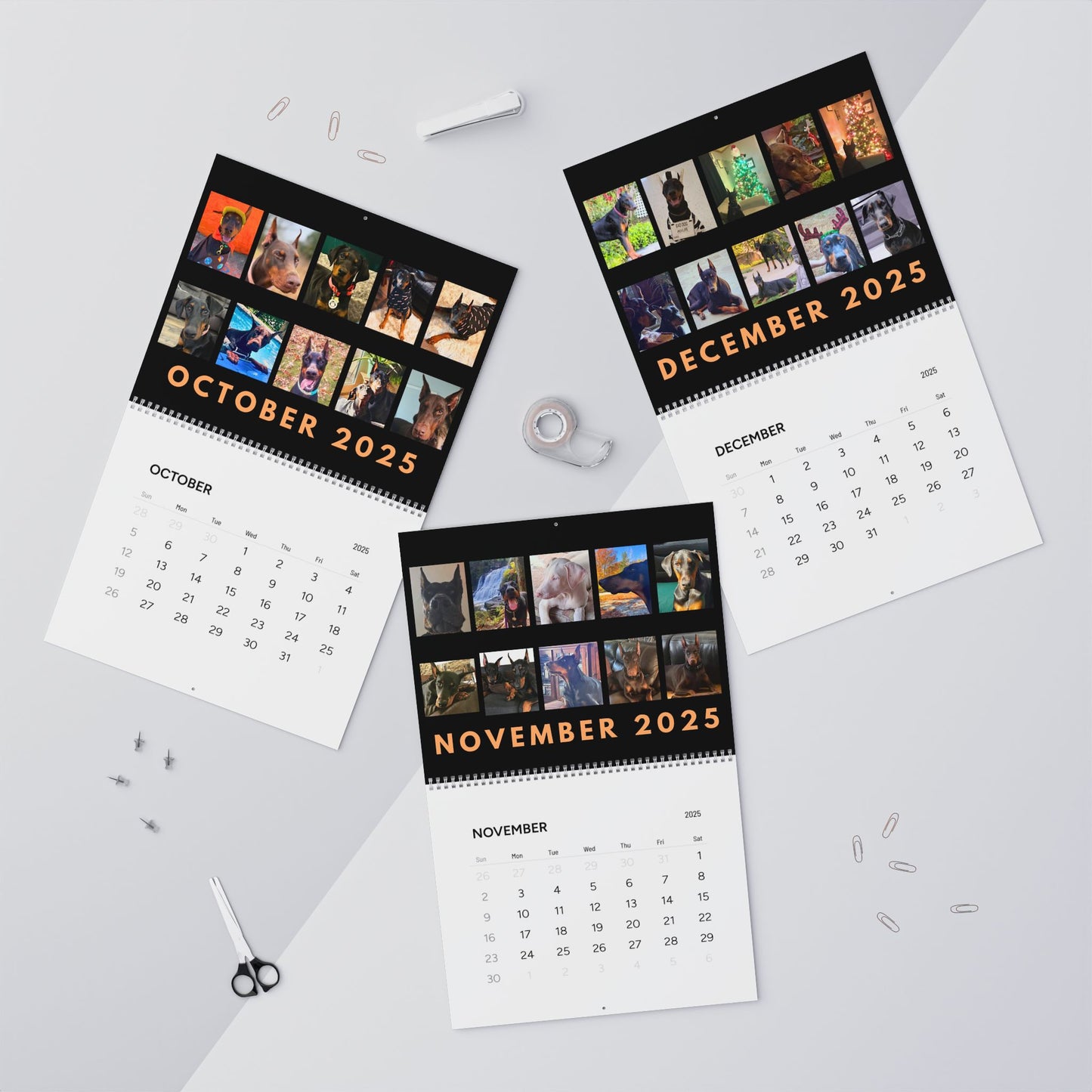 Doberman DTT 15th Edition Wall Calendars (2025)