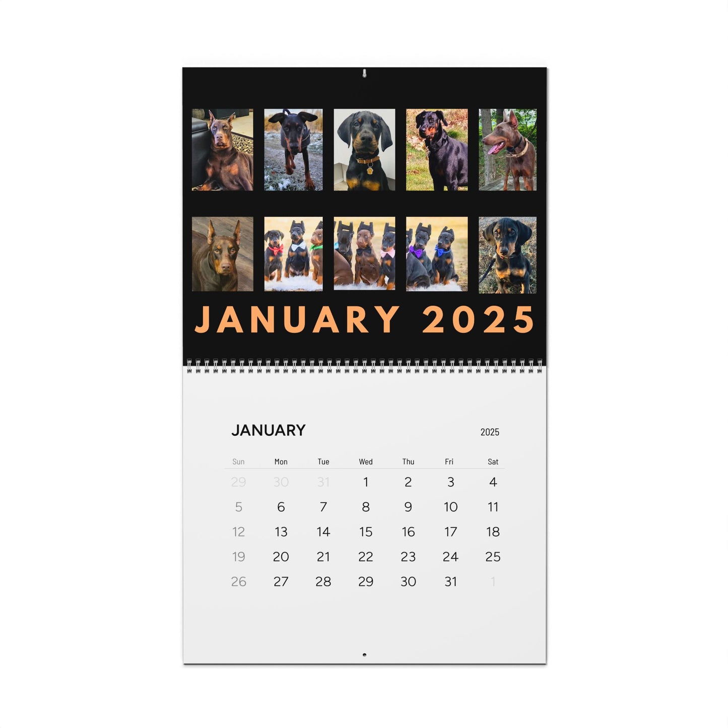 Doberman DTT 15th Edition Wall Calendars (2025)