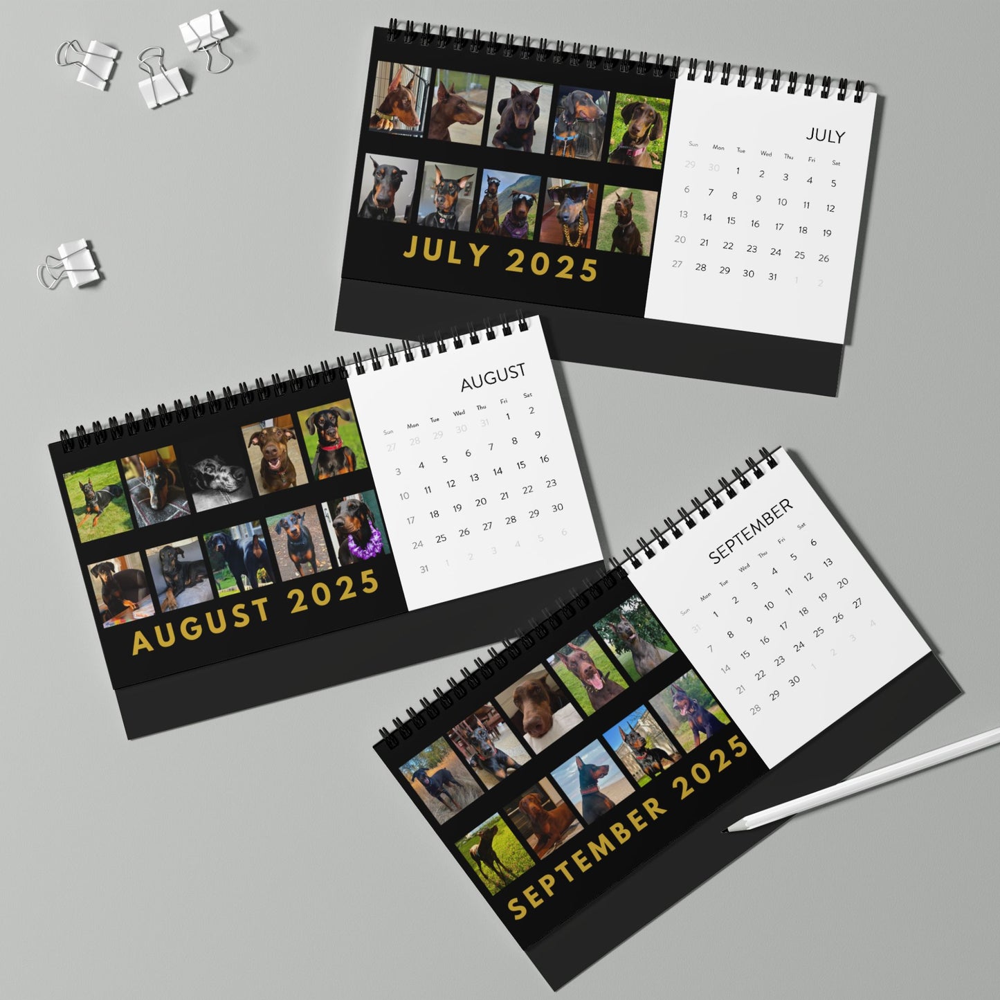 DTT 2nd Edition Desktop Calendar (2025 grid)