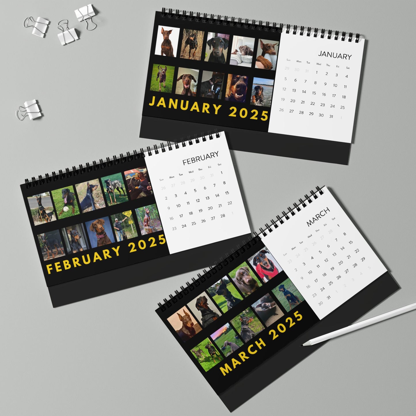 DTT 3rd Edition Desktop Calendar (2025 grid)