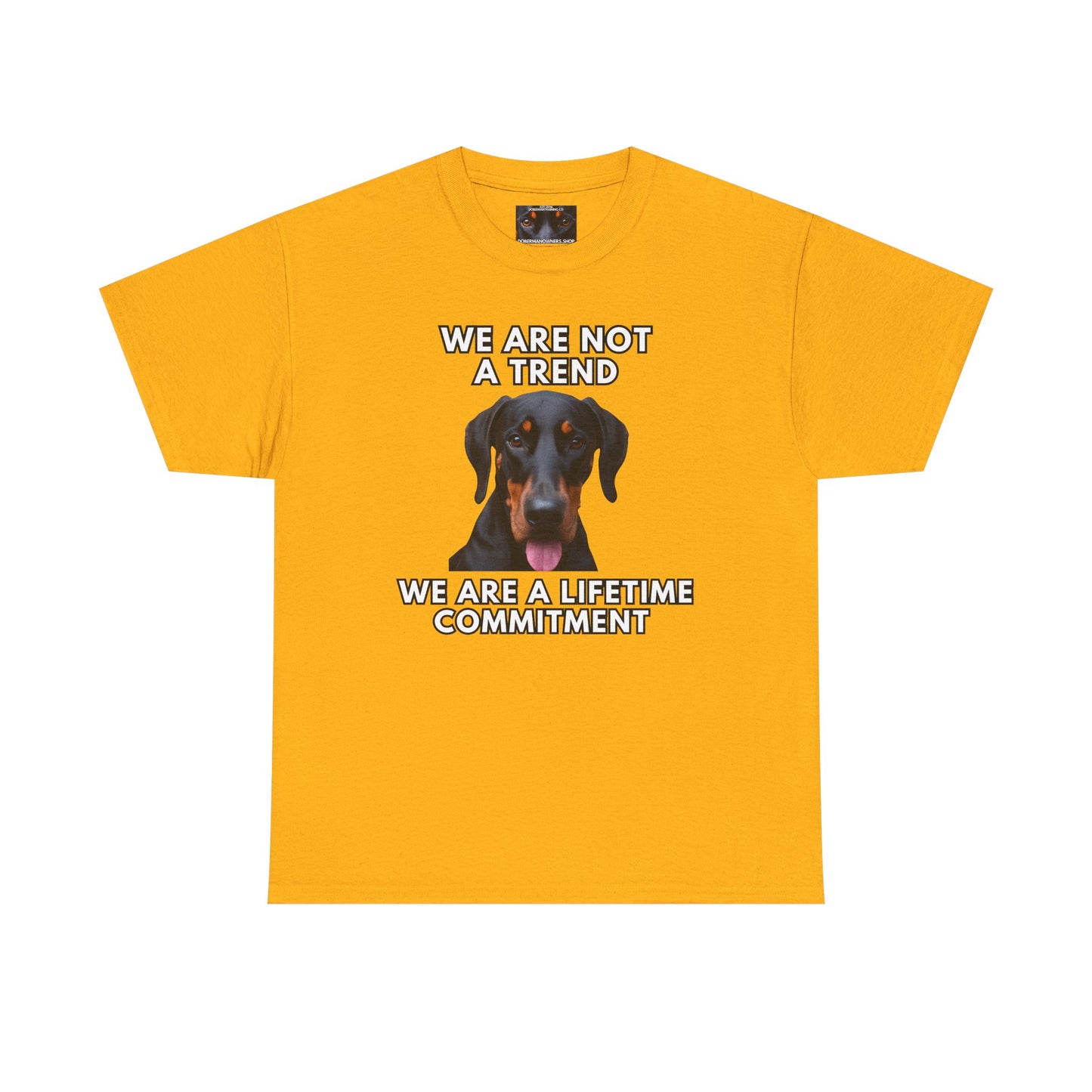 Adopt 12 Private Lable Unisex Heavy Cotton Tee