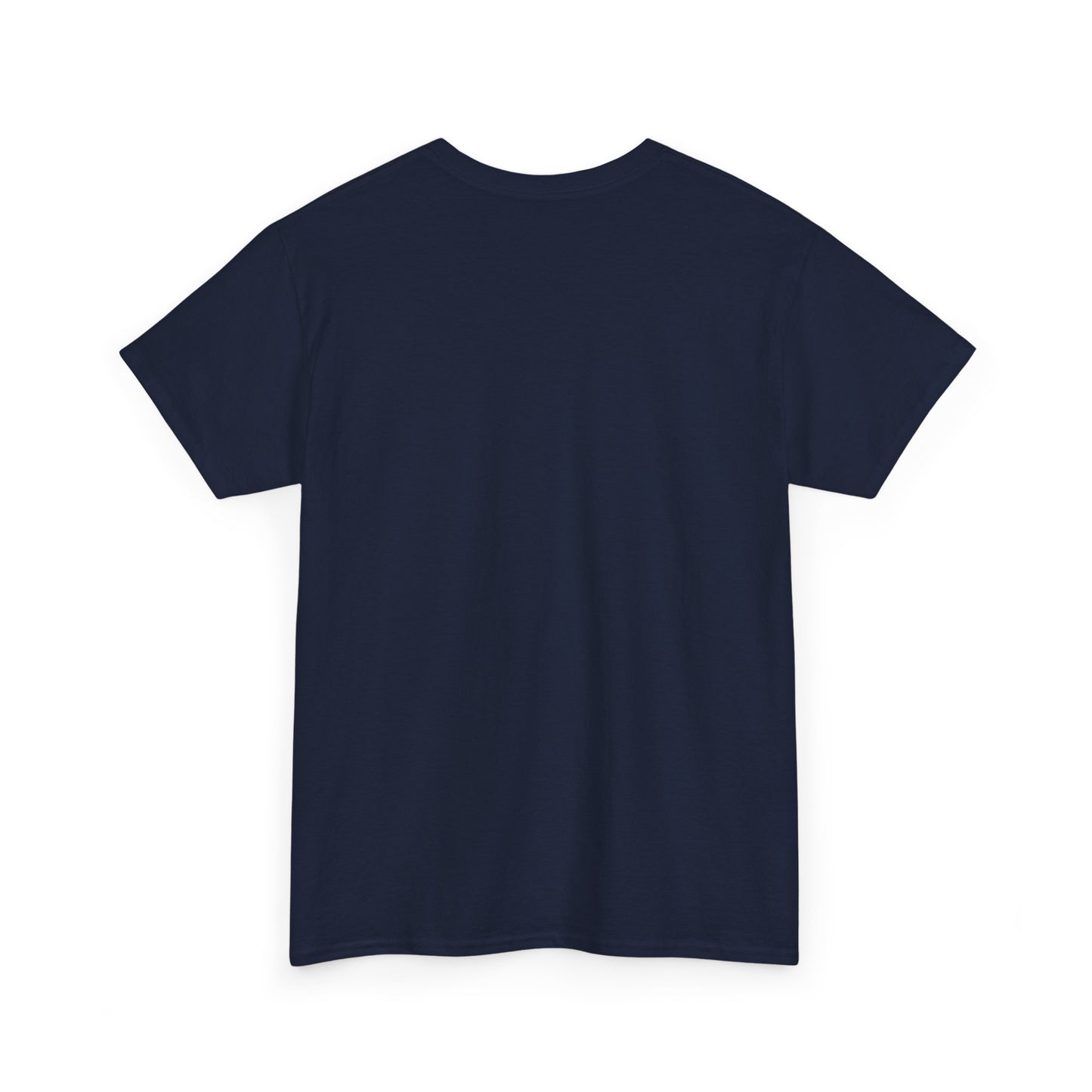 100 2 Private Lable Unisex Heavy Cotton Tee