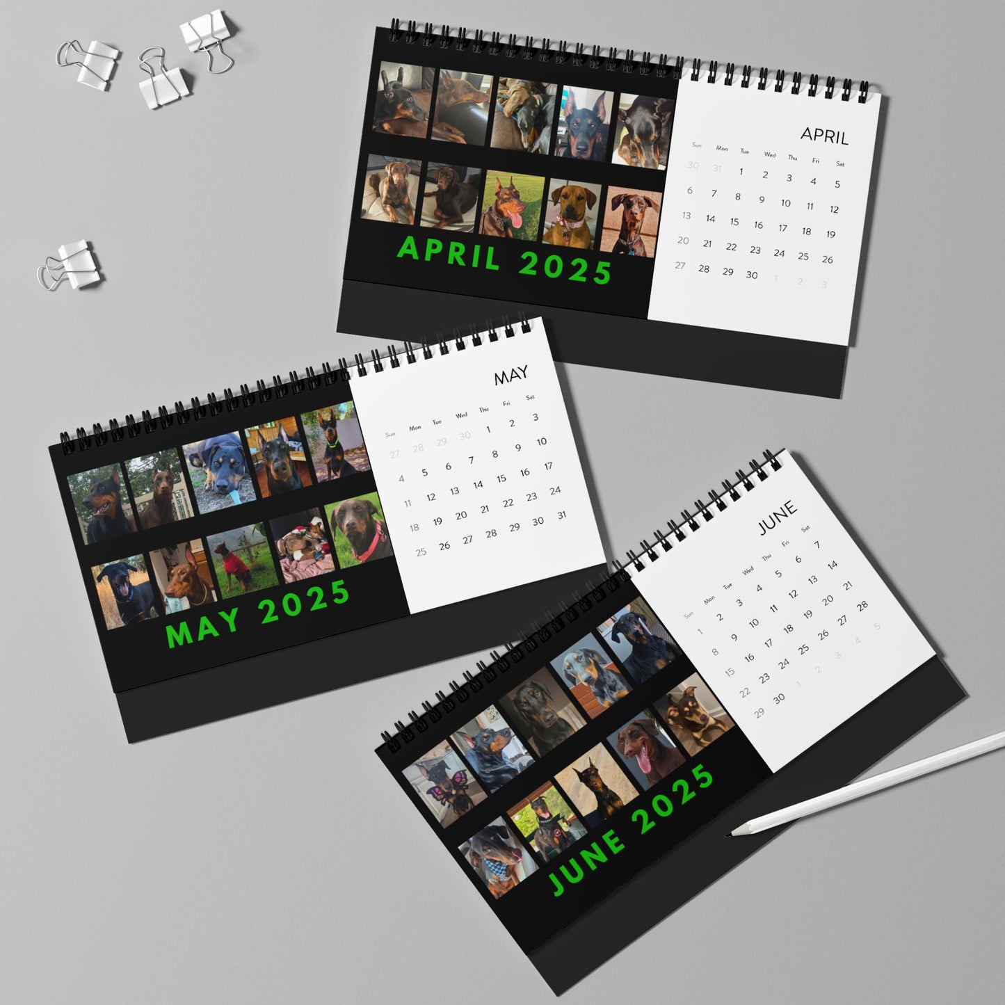 Dobernan DTT 9th Edition Desktop Calendar (2025 grid)