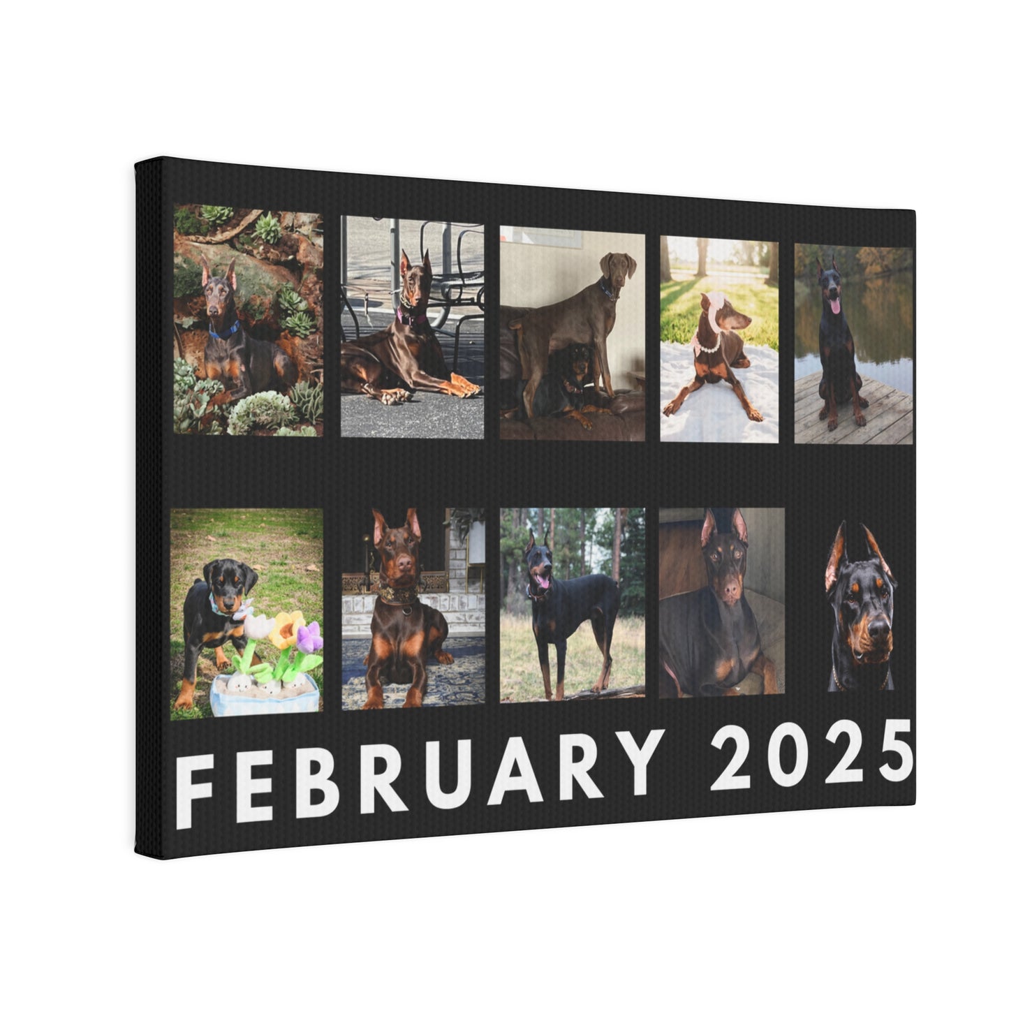 1st Edition February 2025 Canvas Photo Tile