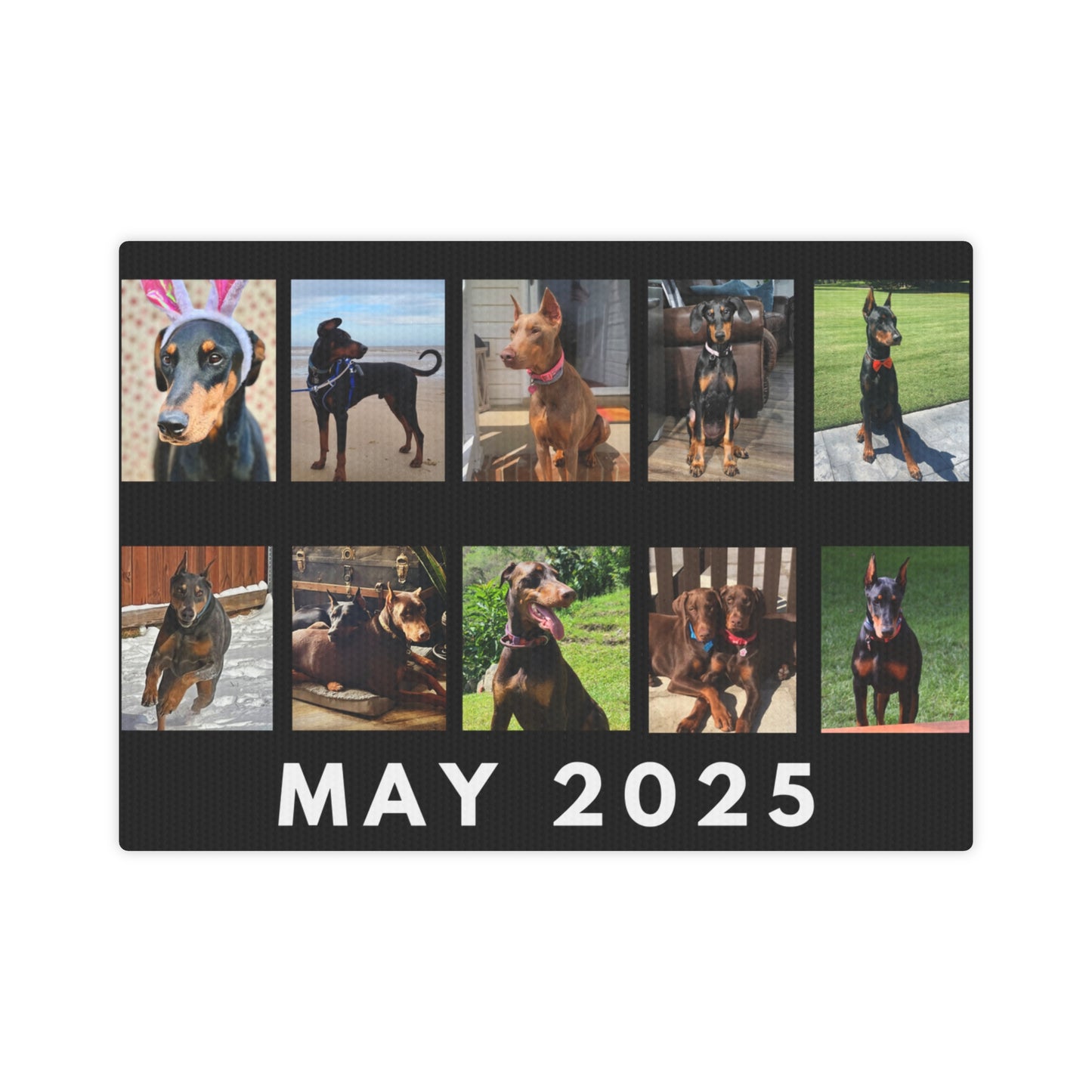 1st Edition May 2025 Canvas Photo Tile