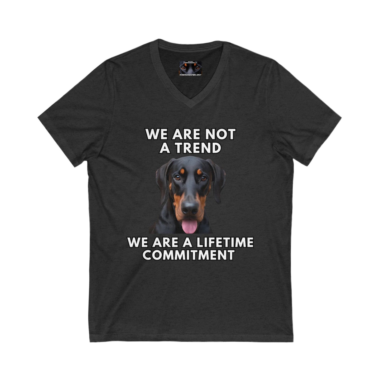 Adopt 10 Private Label Unisex Jersey Short Sleeve V-Neck Tee
