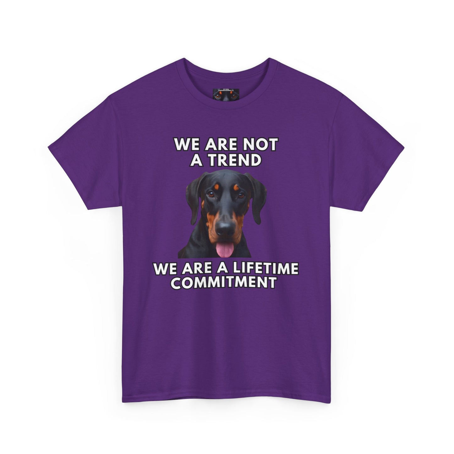 Adopt 12 Private Lable Unisex Heavy Cotton Tee