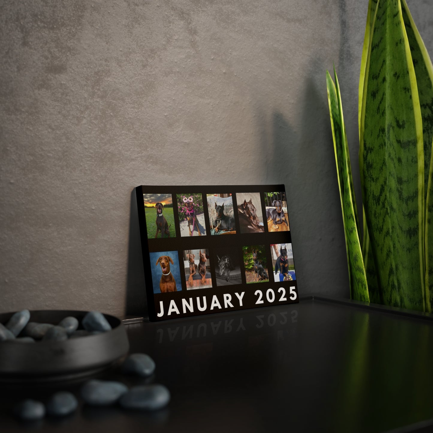 1st Edition January 2025 Canvas Photo Tile