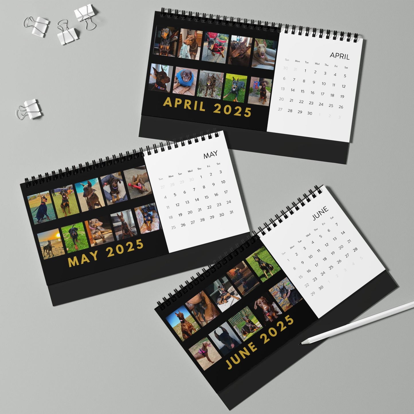 DTT 2nd Edition Desktop Calendar (2025 grid)