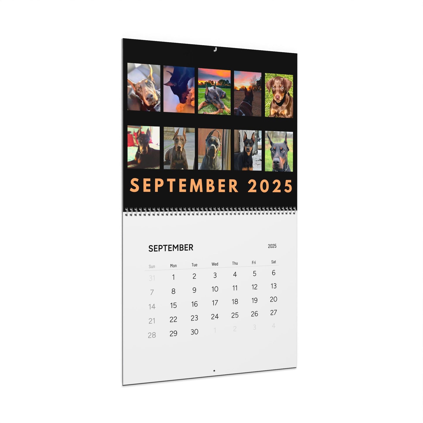 Doberman DTT 15th Edition Wall Calendars (2025)