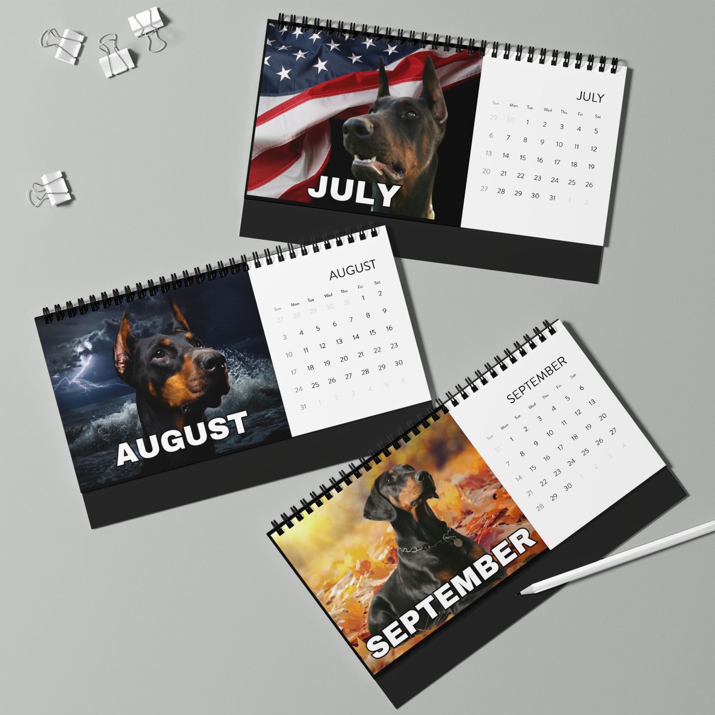 Custom 13 Image Desktop Calendar (2025 grid)