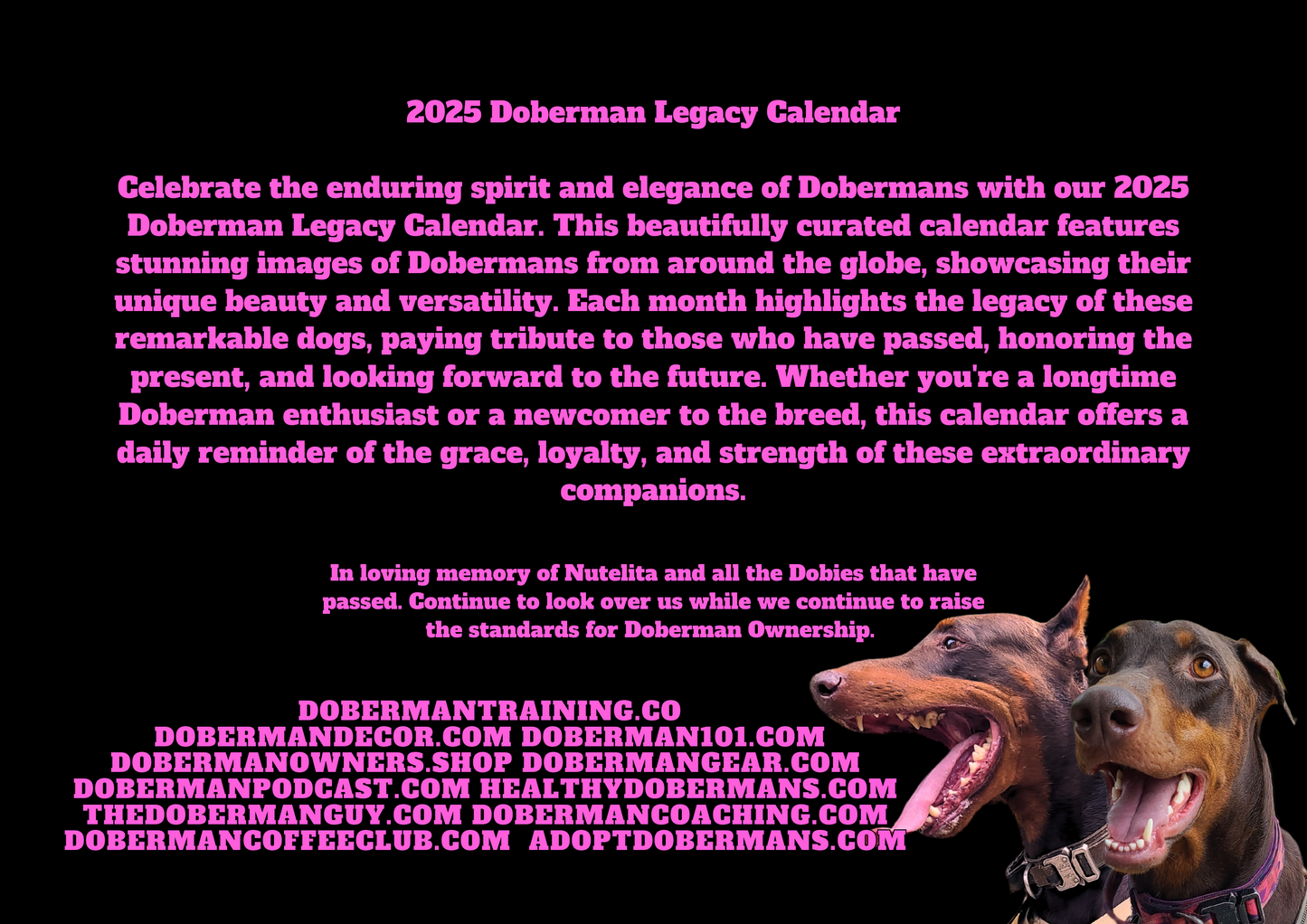 Doberman DTT 13th Edition Wall Calendars (2025)