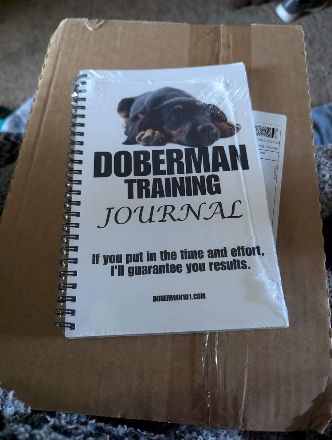 Doberman Training Journal 09