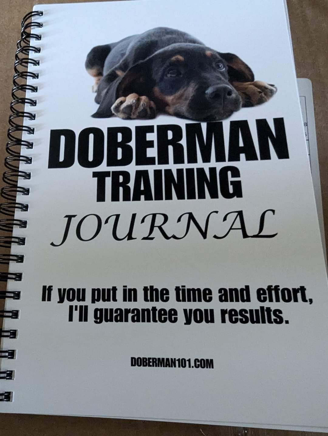 Doberman Training Journal 09