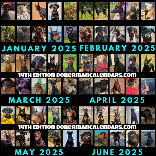 Doberman DTT 14th Edition Wall Calendars (2025)