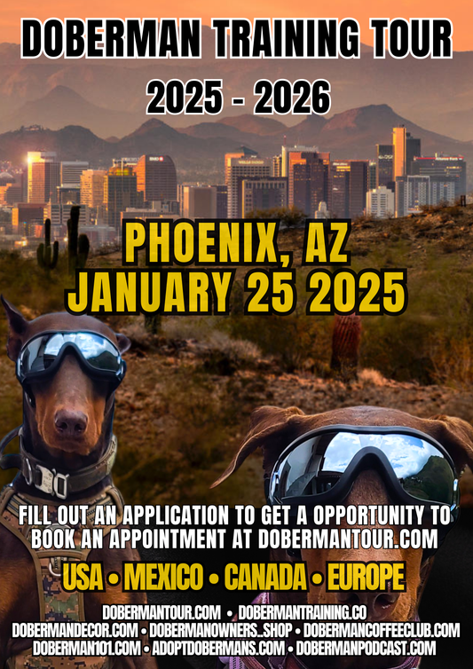 Phoenix 1/25/25 Doberman Training Tour: In-Person & Online Coaching Program