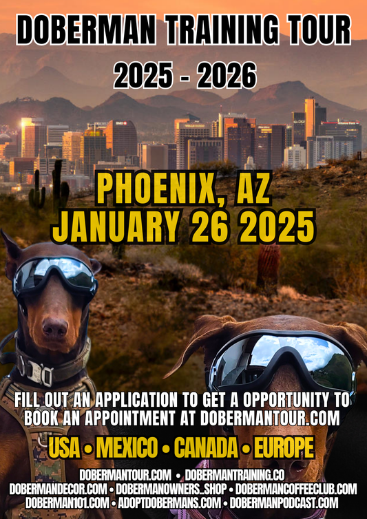 Phoenix 1/26/25 Doberman Training Tour: In-Person & Online Coaching Program