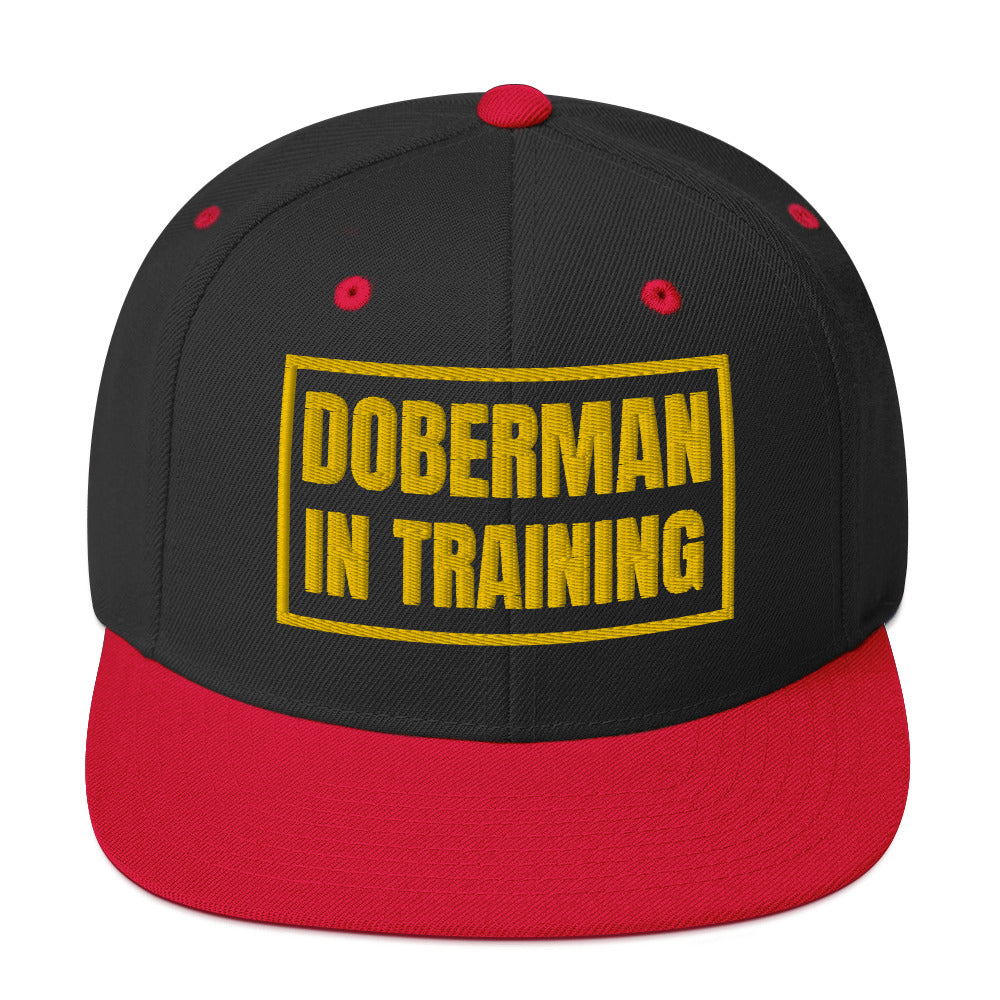 Training 1 Snapback Hat