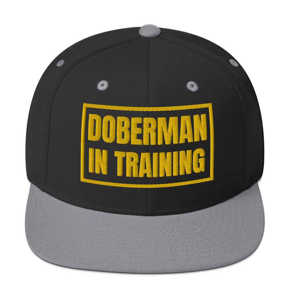 Training 1 Snapback Hat