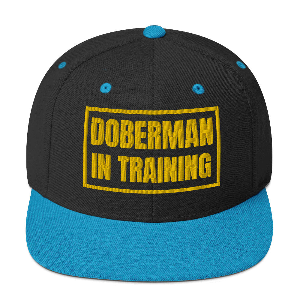 Training 1 Snapback Hat