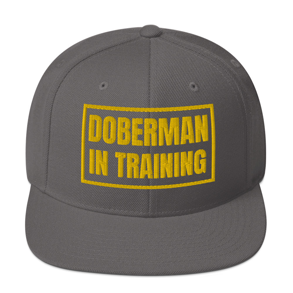 Training 1 Snapback Hat