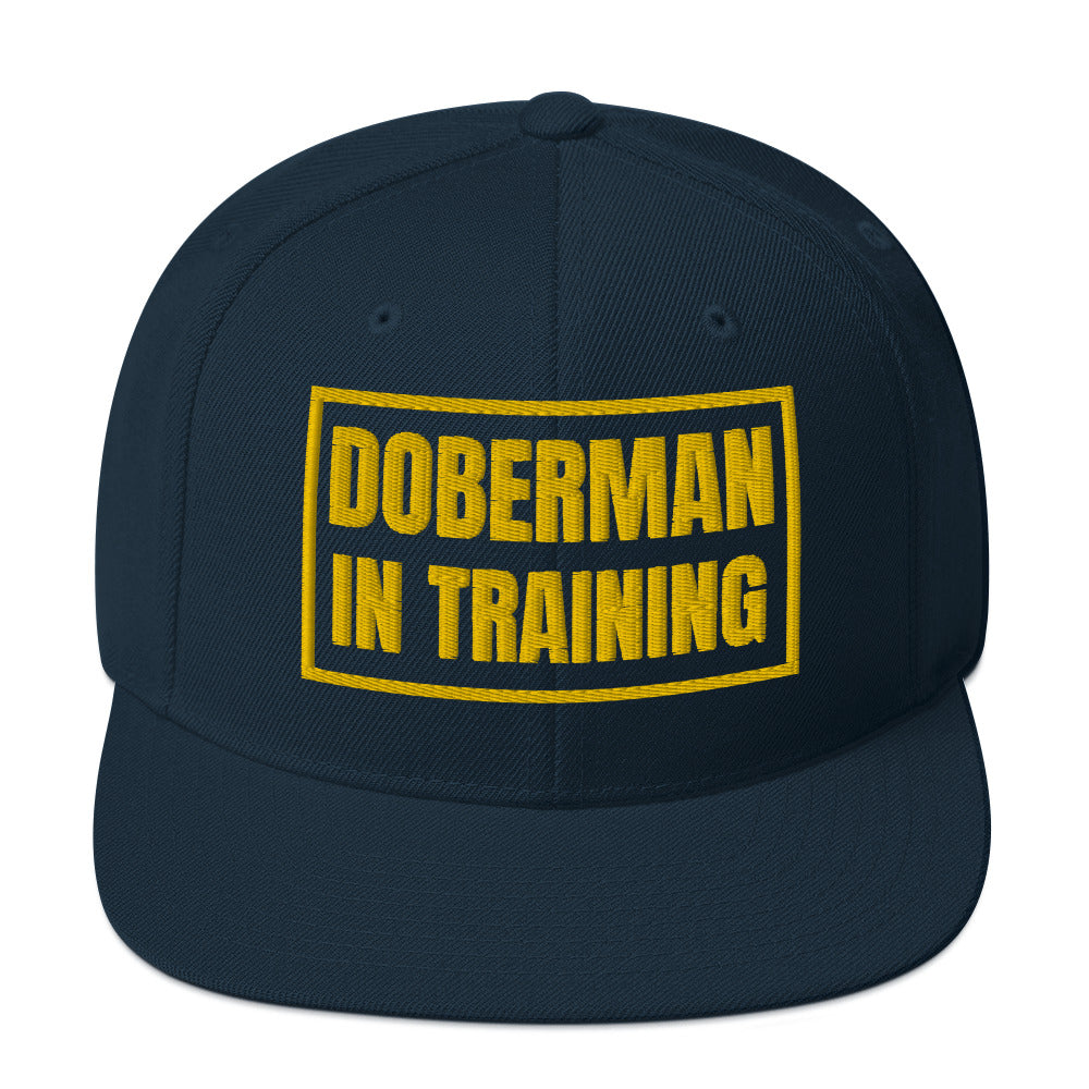 Training 1 Snapback Hat