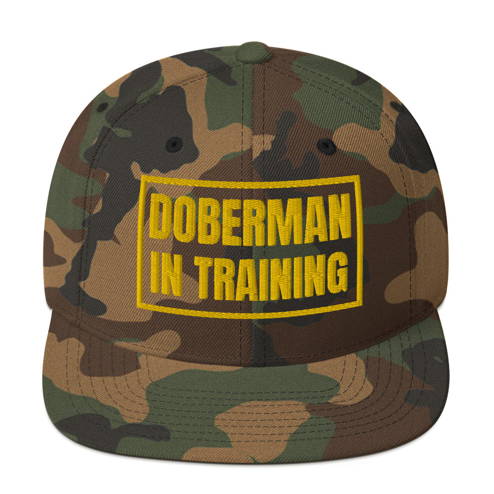 Training 1 Snapback Hat