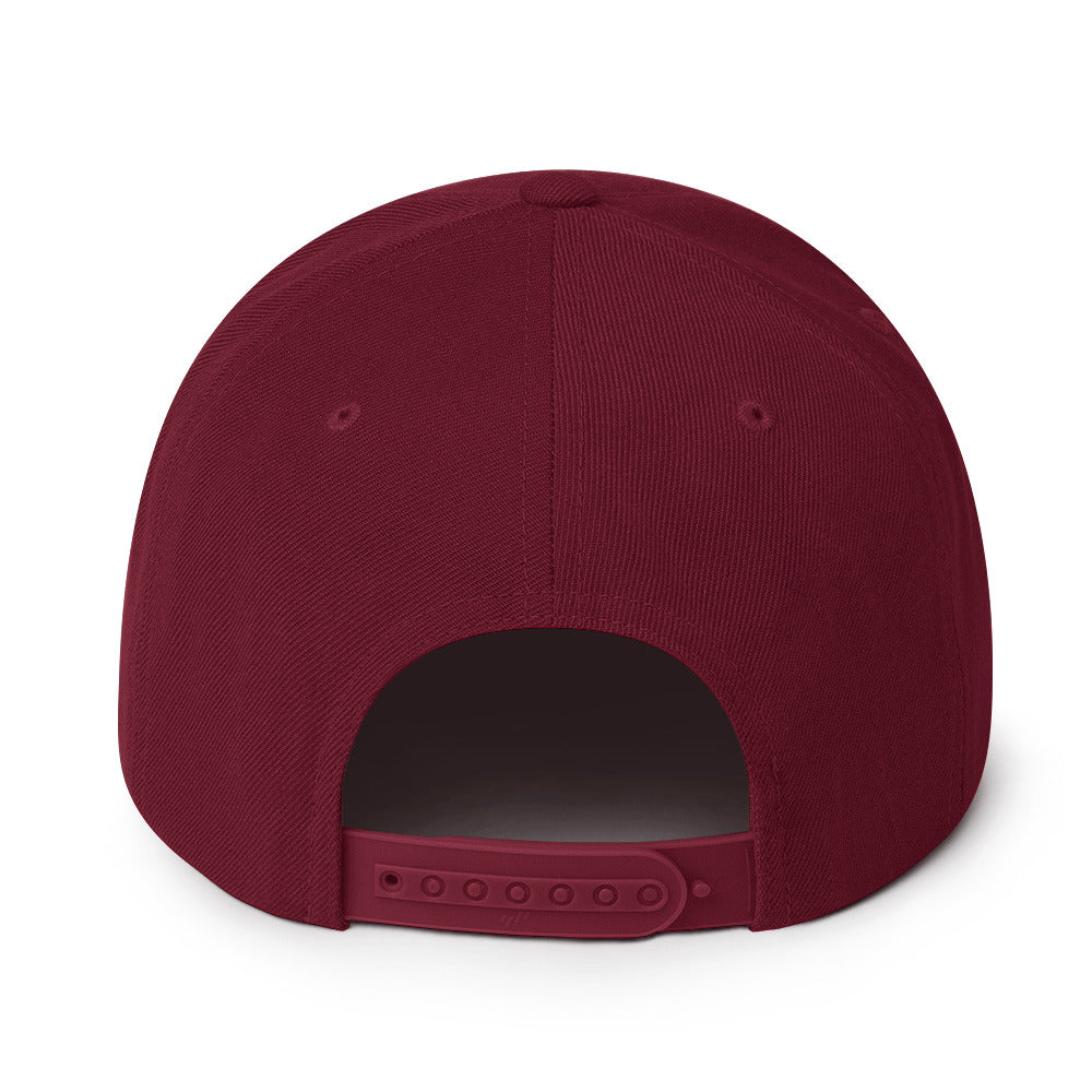 Doberman Snapback Hat 12