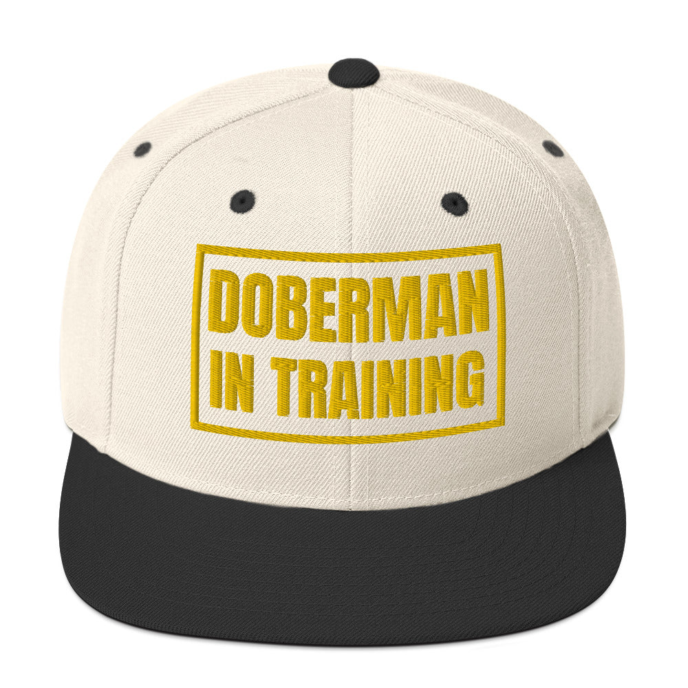 Training 1 Snapback Hat