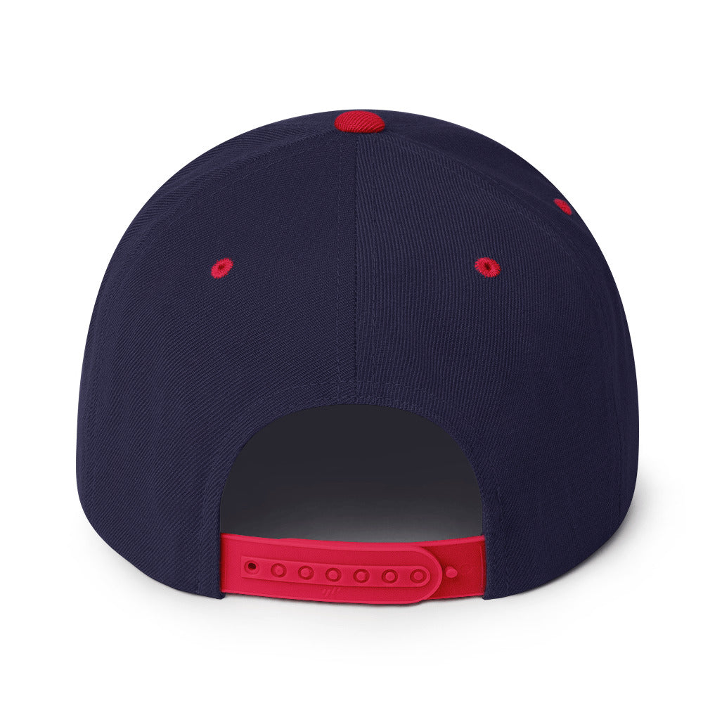 Doberman Snapback Hat 12