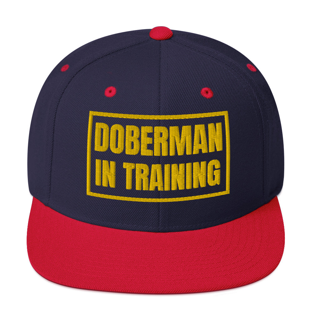 Training 1 Snapback Hat