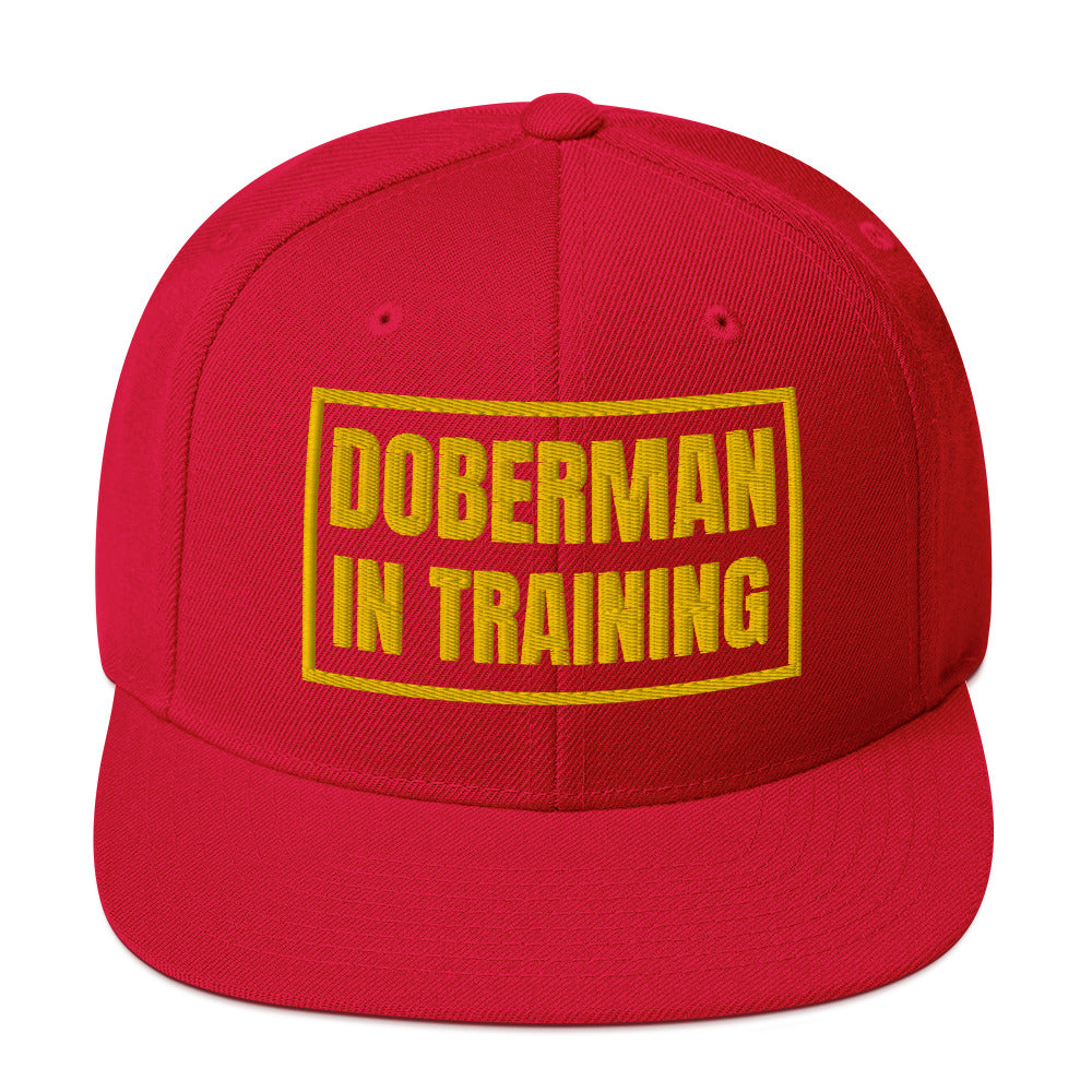 Training 1 Snapback Hat