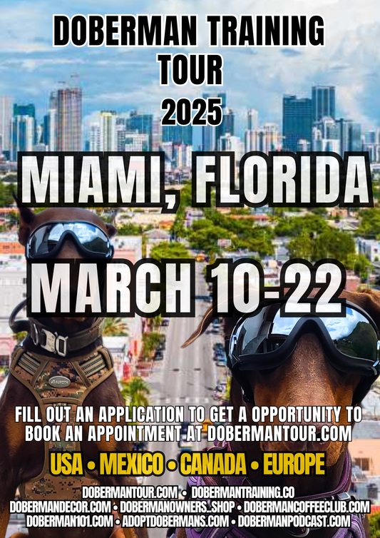 Miami 3/10-3/22 Doberman Training Tour: In-Person & Online Coaching Program