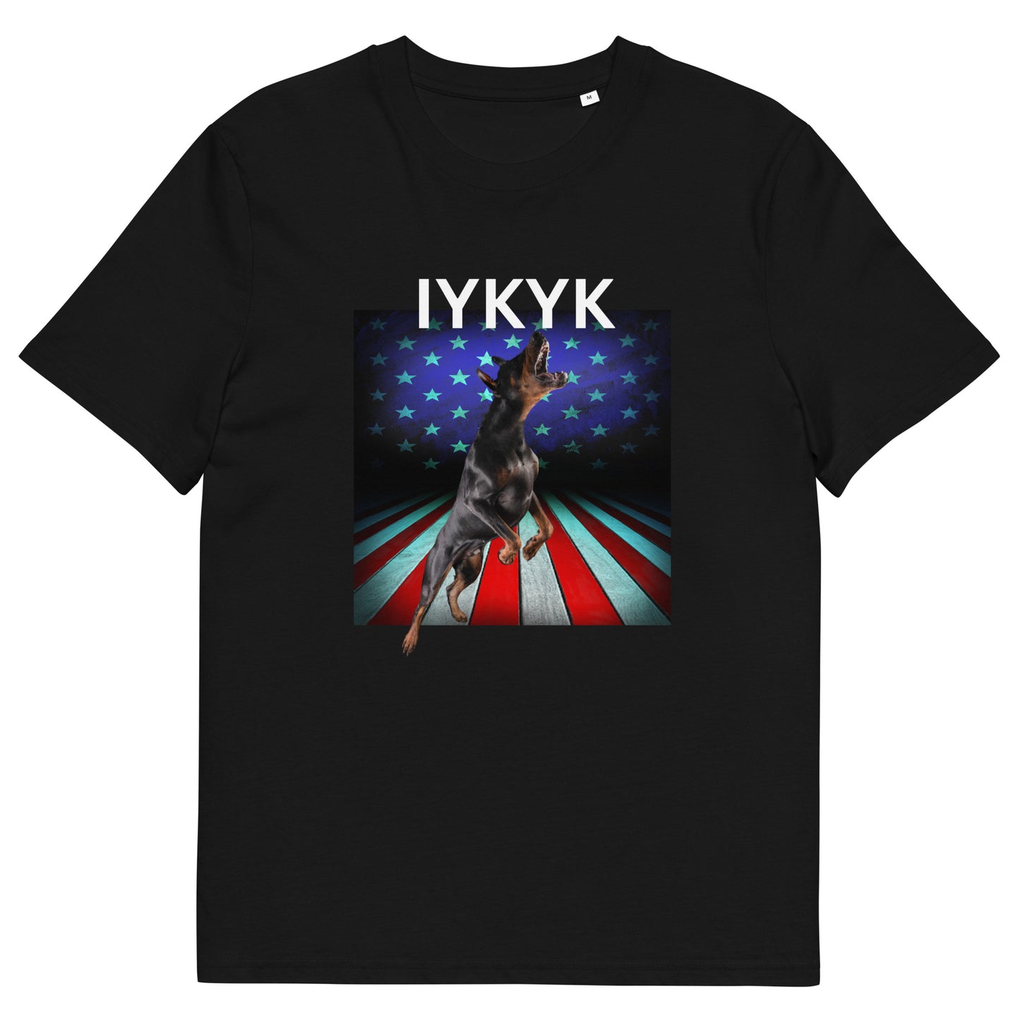 Unisex organic cotton t-shirt IYKYK 4