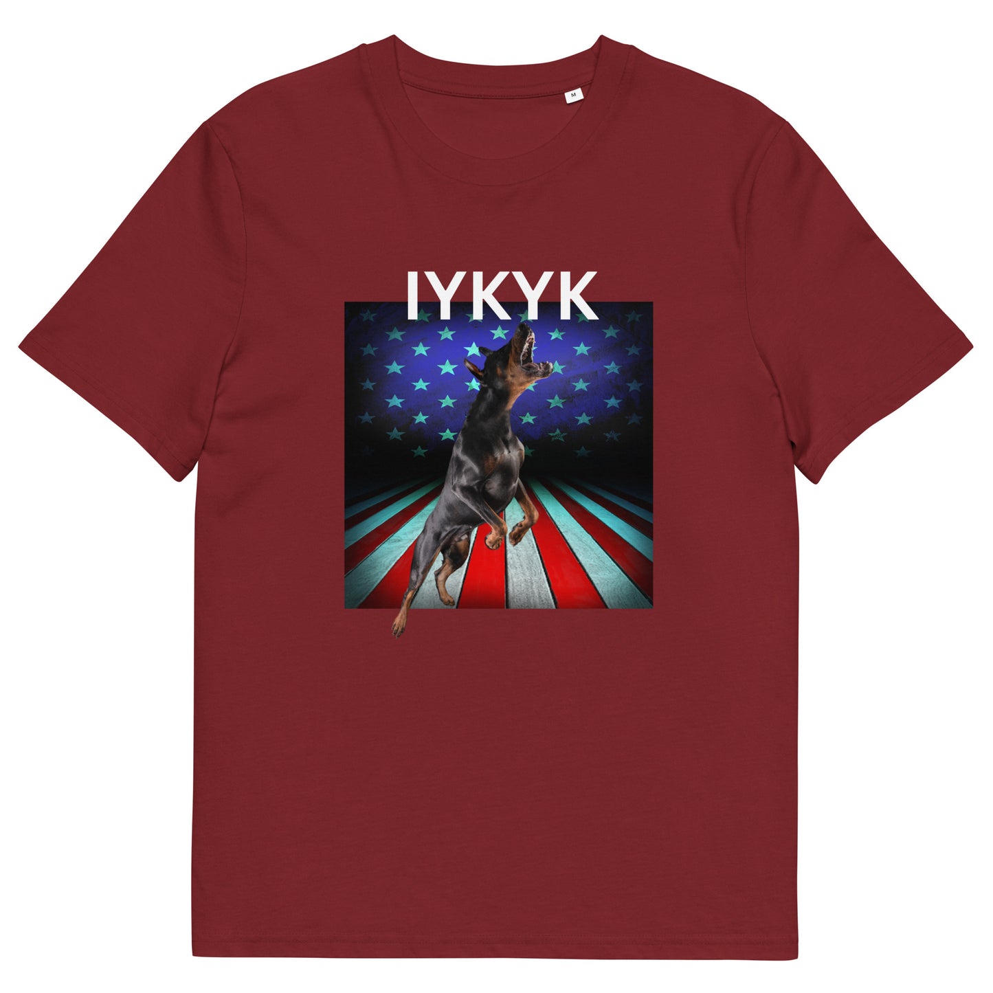 Unisex organic cotton t-shirt IYKYK 4