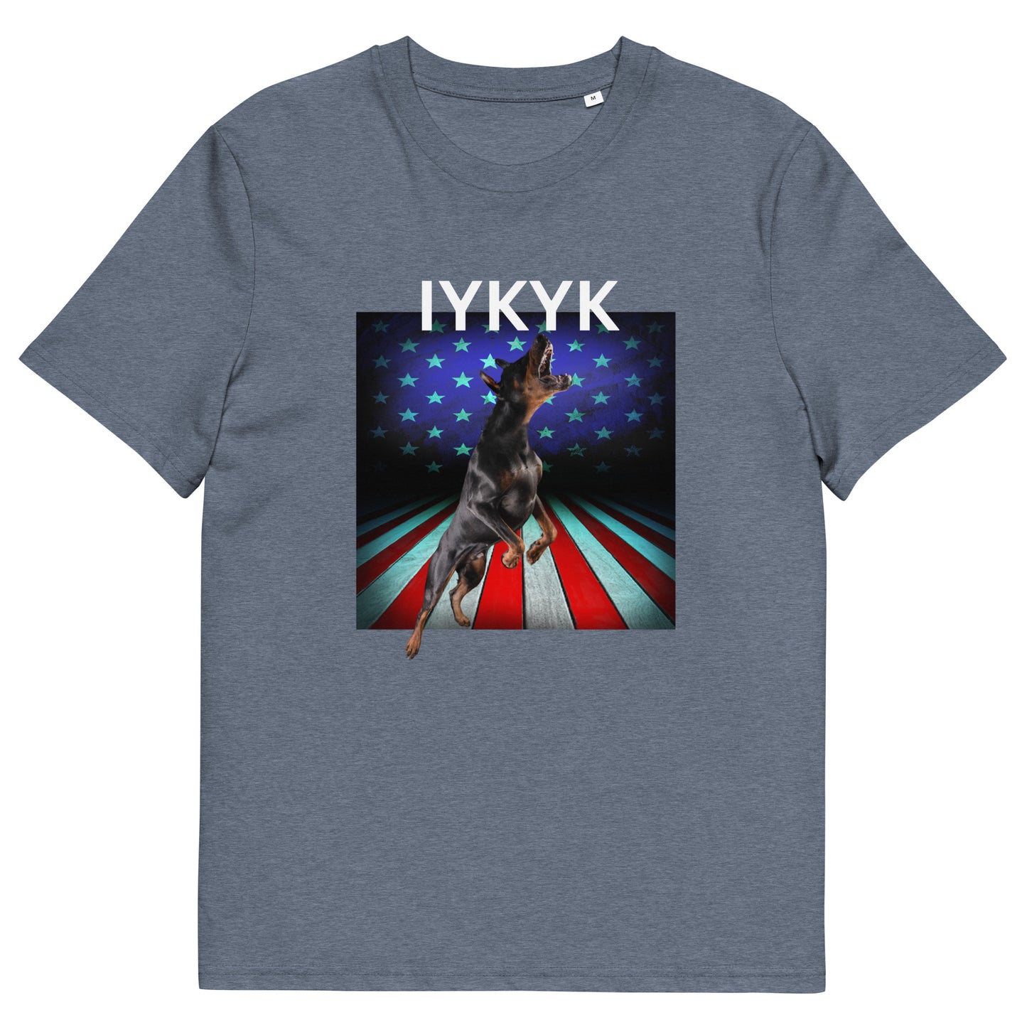 Unisex organic cotton t-shirt IYKYK 4