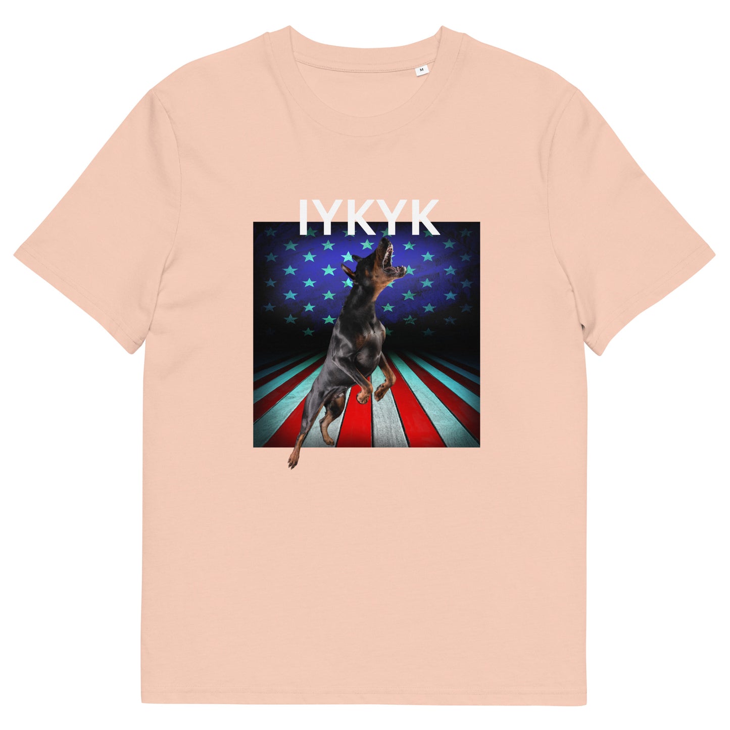 Unisex organic cotton t-shirt IYKYK 4