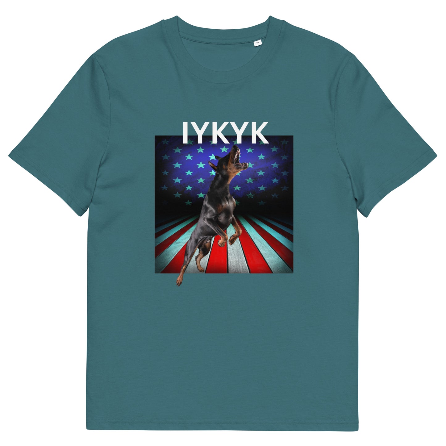 Unisex organic cotton t-shirt IYKYK 4